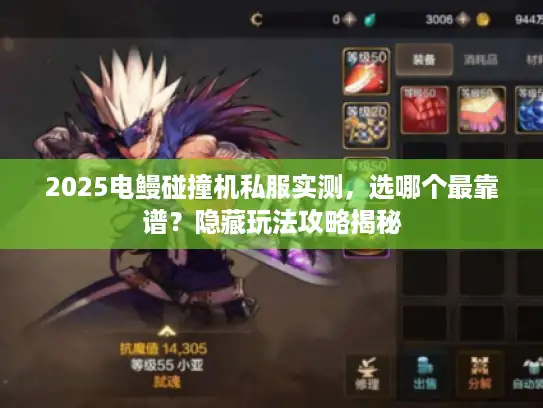 2025电鳗碰撞机私服实测，选哪个最靠谱？隐藏玩法攻略揭秘