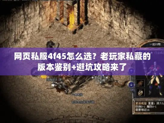 网页私服4f45怎么选？老玩家私藏的版本鉴别+避坑攻略来了