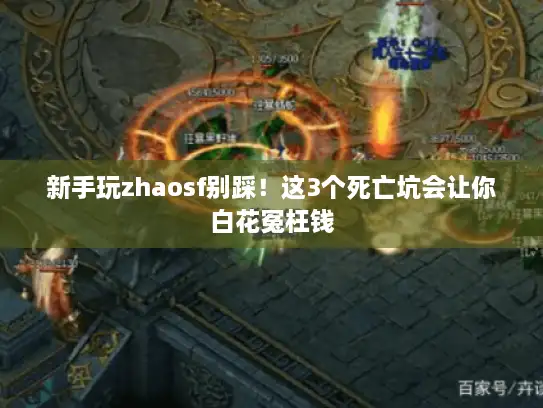 新手玩zhaosf别踩！这3个死亡坑会让你白花冤枉钱