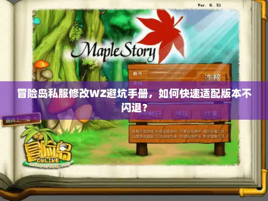 冒险岛私服修改WZ避坑手册，如何快速适配版本不闪退？