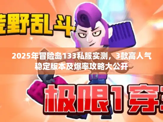 2025年冒险岛133私服实测，3款高人气稳定版本及爆率攻略大公开