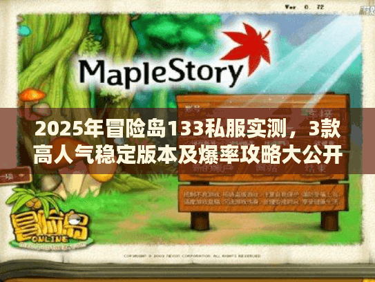 2025年冒险岛133私服实测，3款高人气稳定版本及爆率攻略大公开