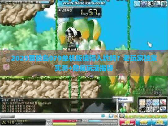 2025冒险岛079单机版值得入坑吗？老玩家独家实测+隐藏玩法揭秘