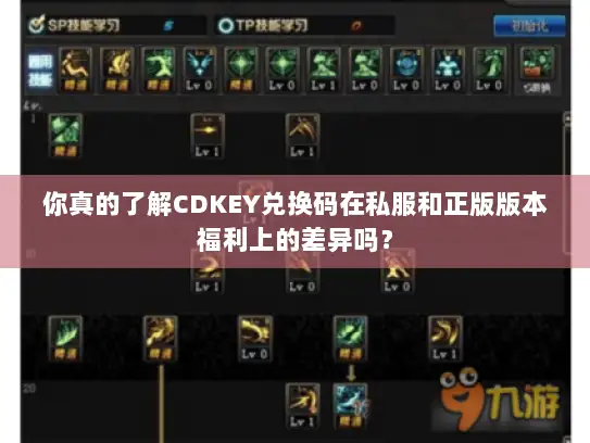 你真的了解CDKEY兑换码在私服和正版版本福利上的差异吗？