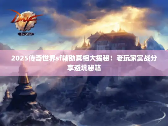 2025传奇世界sf辅助真相大揭秘！老玩家实战分享避坑秘籍