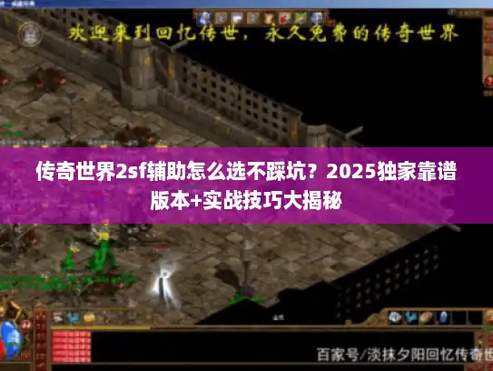 传奇世界2sf辅助怎么选不踩坑？2025独家靠谱版本+实战技巧大揭秘