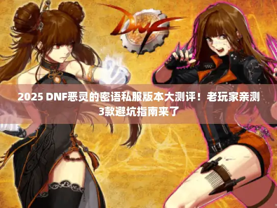 2025 DNF恶灵的密语私服版本大测评！老玩家亲测3款避坑指南来了