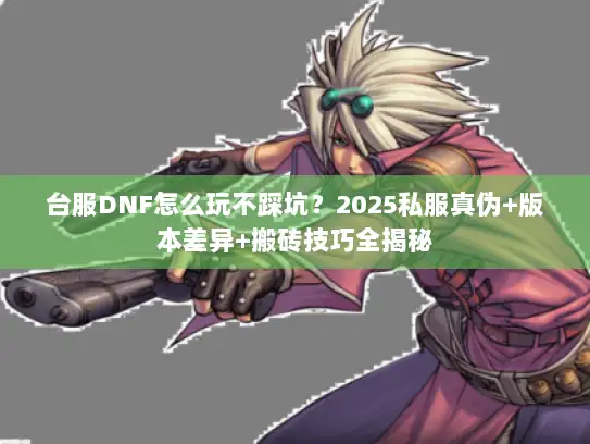 台服DNF怎么玩不踩坑？2025私服真伪+版本差异+搬砖技巧全揭秘