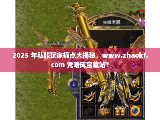 2025 年私服玩家痛点大揭秘，www.zhaokf.com 凭啥成宝藏站？