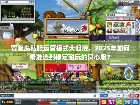 冒险岛私服运营模式大起底，2025年如何精准选到稳定耐玩的良心服？