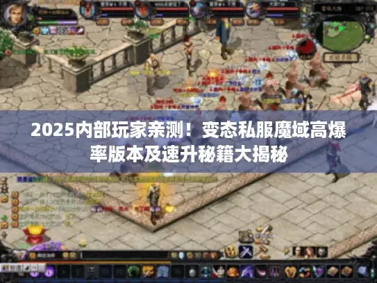 2025内部玩家亲测！变态私服魔域高爆率版本及速升秘籍大揭秘