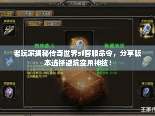 老玩家揭秘传奇世界sf客服命令，分享版本选择避坑实用神技！