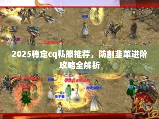 2025稳定cq私服推荐，防割韭菜进阶攻略全解析
