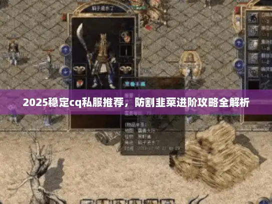 2025稳定cq私服推荐，防割韭菜进阶攻略全解析