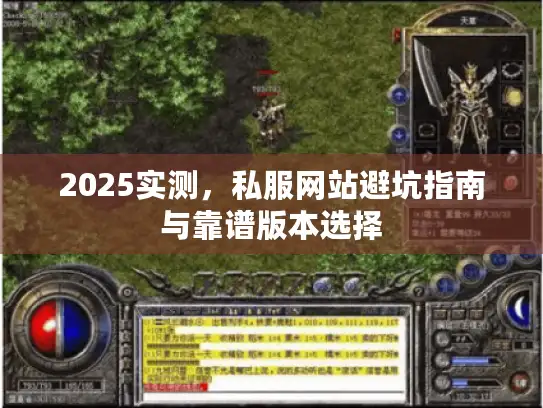 2025实测，私服网站避坑指南与靠谱版本选择