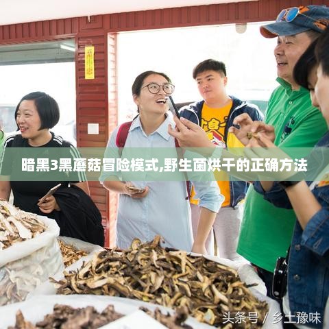 暗黑3黑蘑菇冒险模式,野生菌烘干的正确方法