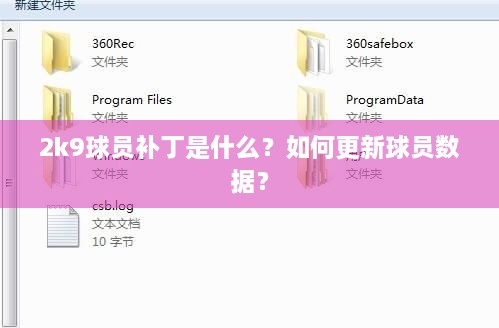 2k9球员补丁是什么？如何更新球员数据？