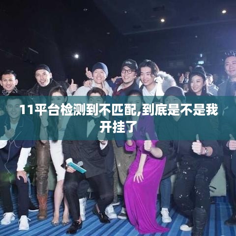 11平台检测到不匹配,到底是不是我开挂了