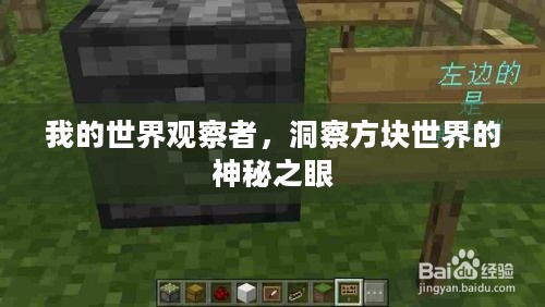 我的世界观察者,洞察方块世界的神秘之眼 我的世界观察者,洞察方块世界的神秘之眼