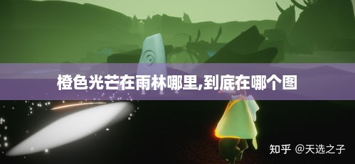橙色光芒在雨林哪里,到底在哪个图