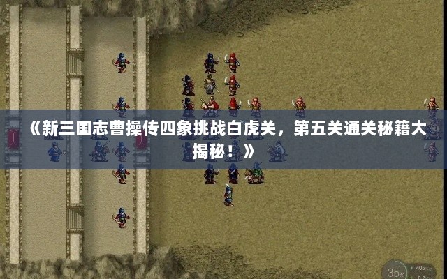 《新三国志曹操传四象挑战白虎关,第五关通关秘籍大揭秘!》 《新三国志曹操传四象挑战白虎关,第五关通关秘籍大揭秘!》