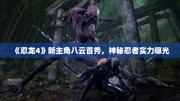 《忍龙4》新主角八云首秀,神秘忍者实力曝光 《忍龙4》新主角八云首秀,神秘忍者实力曝光