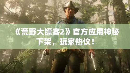 《荒野大镖客2》官方应用神秘下架，玩家热议！