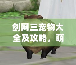 剑网三宠物大全及攻略,萌宠相伴江湖路 剑网三宠物大全及攻略,萌宠相伴江湖路