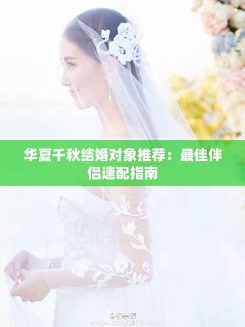华夏千秋结婚对象推荐：最佳伴侣速配指南