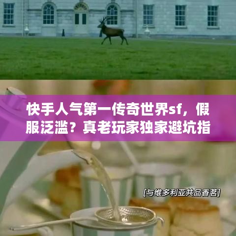 快手人气第一传奇世界sf，假服泛滥？真老玩家独家避坑指南