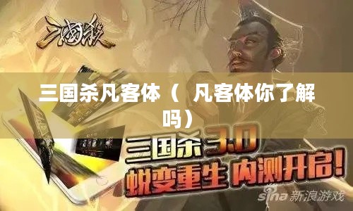 三国杀凡客体( 凡客体你了解吗) 三国杀凡客体( 凡客体你了解吗)