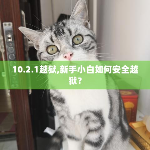 10.2.1越狱,新手小白如何安全越狱？