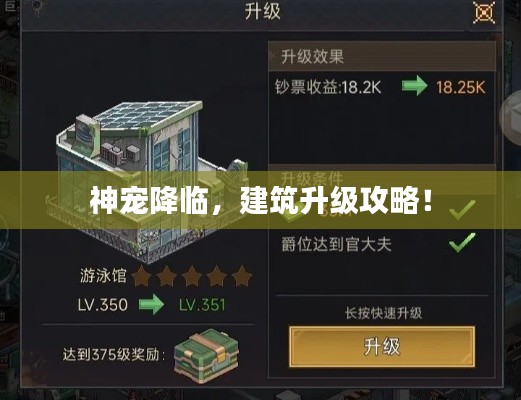 神宠降临，建筑升级攻略！