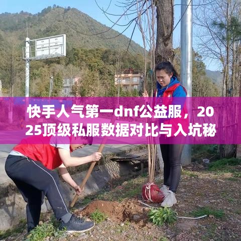 快手人气第一dnf公益服,2025顶级私服数据对比与入坑秘技 快手人气第一dnf公益服,2025顶级私服数据对比与入坑秘技