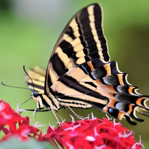 探秘永恒之塔攻略站，游戏玩家的宝藏天地