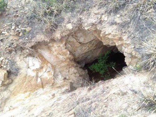 五人金兜洞, 效率怎么样