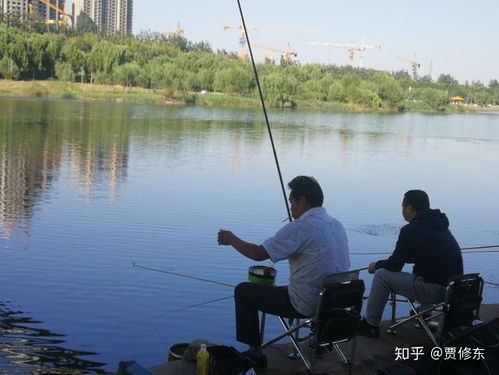 华夏虾蟹钓法大揭秘:钓鱼高手必看垂钓秘境 华夏虾蟹钓法大揭秘:钓鱼高手必看垂钓秘境