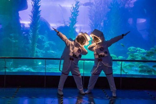 ABZU潜水冒险指南：揭开海底世界的神秘面纱