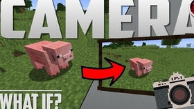 629小游戏,  哪个最适合我