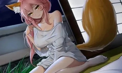 狐狸汉化组游戏合集,  哪个游戏让你觉得最值得推荐