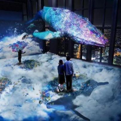 Sky光遇国际服下载全攻略，开启梦幻社交冒险之旅