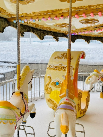 落雪专杀,落雪木马是什么东西? 落雪专杀,落雪木马是什么东西?