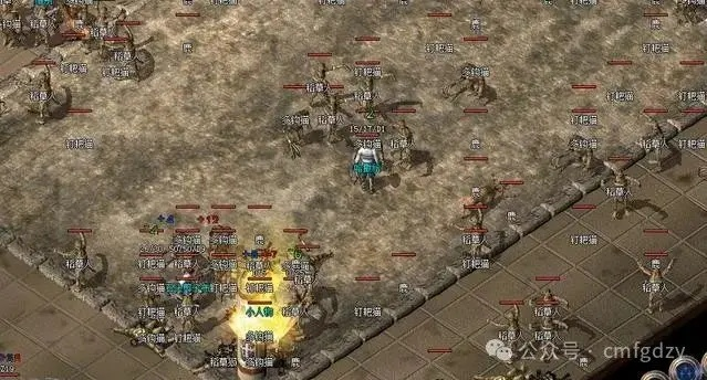 传奇sf打金2025数据大揭秘，10倍暴利私服全对比