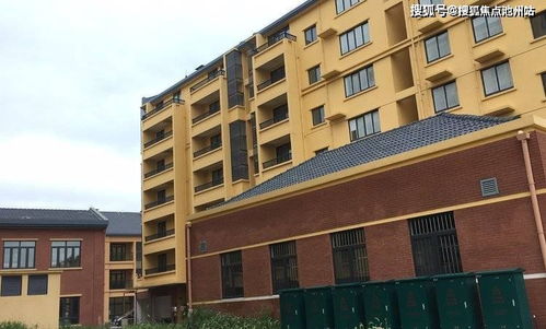 《弹片》剧情全解析攻略：深度图文流程+独家技巧揭秘