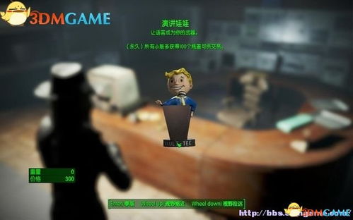 《辐射4》全娃娃搜集攻略：魅力耐力娃娃必备技巧，高效收集指南