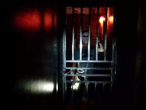 密室逃脱电影,密闭空间里的惊悚与智慧盛宴 密室逃脱电影,密闭空间里的惊悚与智慧盛宴