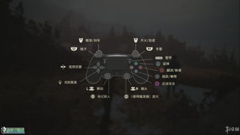 《神秘海域4》全攻略揭秘：深度解析全收集流程攻略秘籍