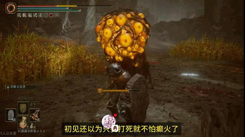 《艾尔登法环》怪物分布攻略：揭秘小怪掉落宝藏秘籍