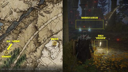 《艾尔登法环》海妲支线必看！夏玻利利葡萄高效获取攻略揭秘