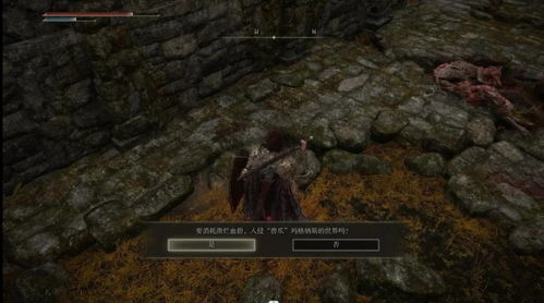 艾尔登法环蒙格温王朝攻略：路线解析+地图碎片全收录